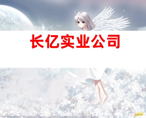 长亿实业公司