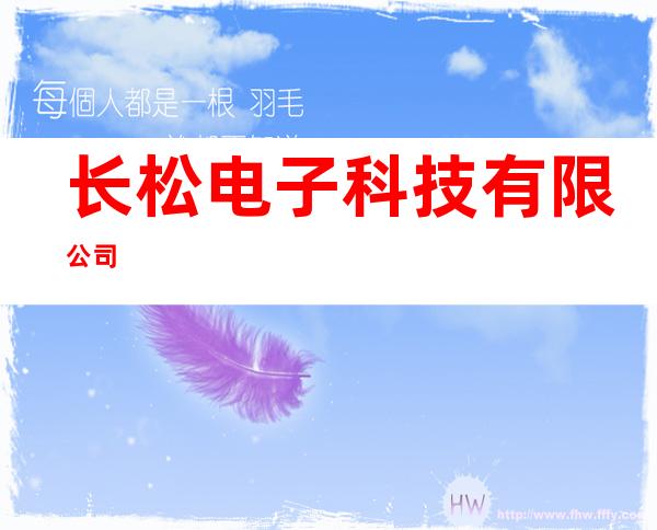 长松电子科技有限公司