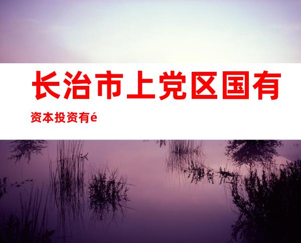 长治市上党区国有资本投资有限公司