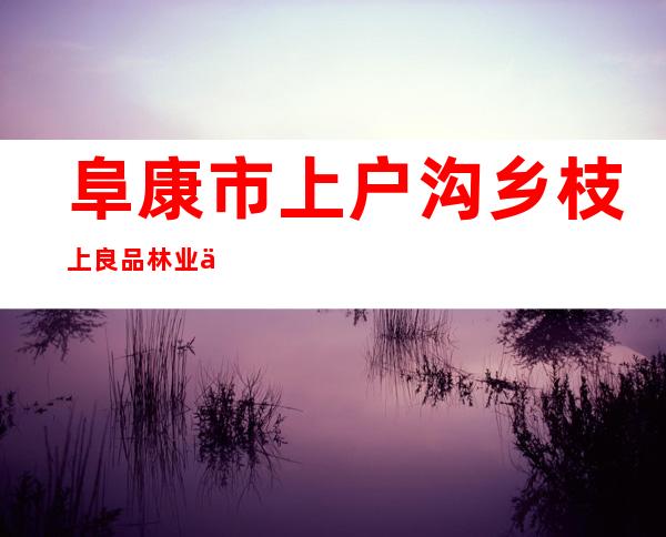 阜康市上户沟乡枝上良品林业专业合作社