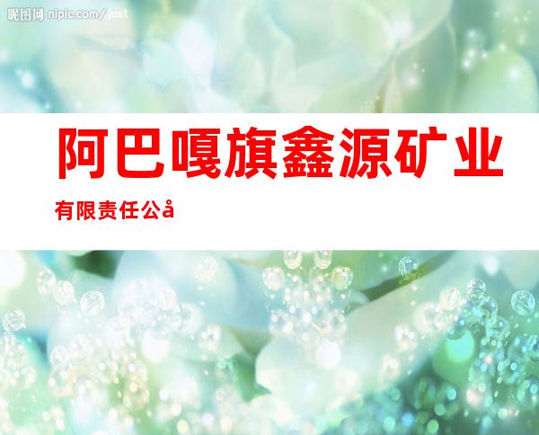 阿巴嘎旗鑫源矿业有限责任公司