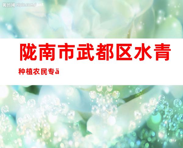 陇南市武都区水青种植农民专业合作社