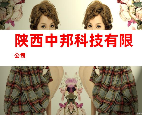 陕西中邦科技有限公司