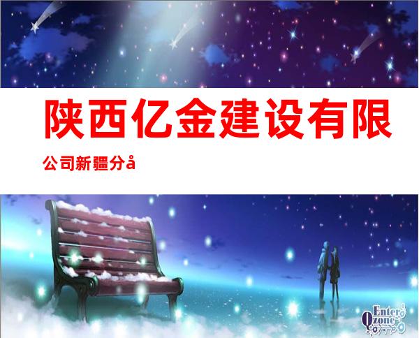 陕西亿金建设有限公司新疆分公司