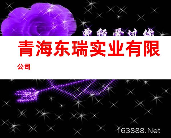 青海东瑞实业有限公司