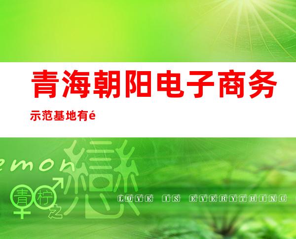 青海朝阳电子商务示范基地有限公司