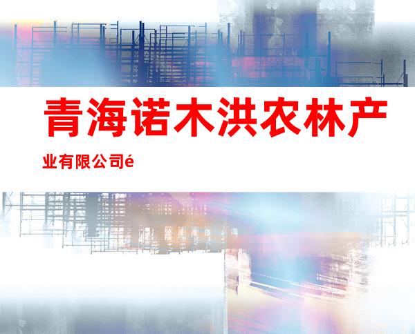 青海诺木洪农林产业有限公司都兰诺木洪水电站