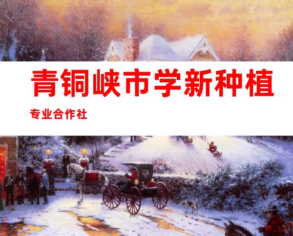 青铜峡市学新种植专业合作社