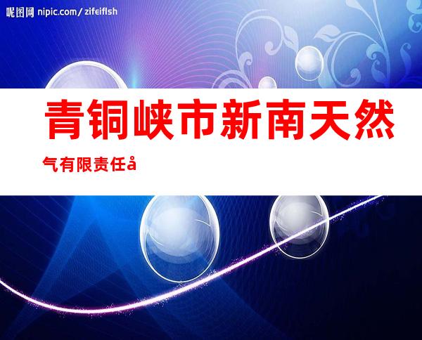青铜峡市新南天然气有限责任公司