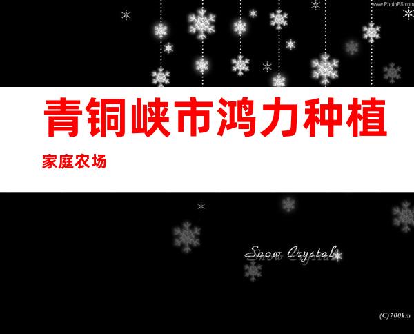 青铜峡市鸿力种植家庭农场