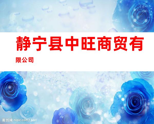 静宁县中旺商贸有限公司