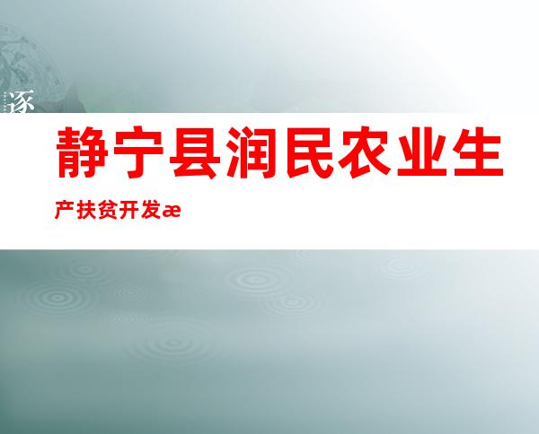 静宁县润民农业生产扶贫开发有限公司