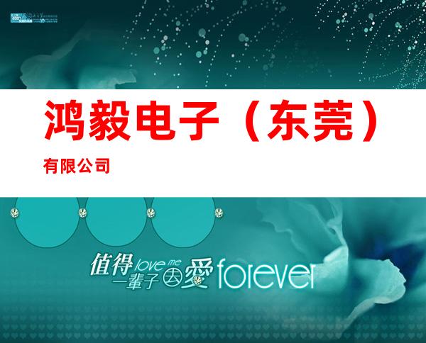 鸿毅电子（东莞）有限公司