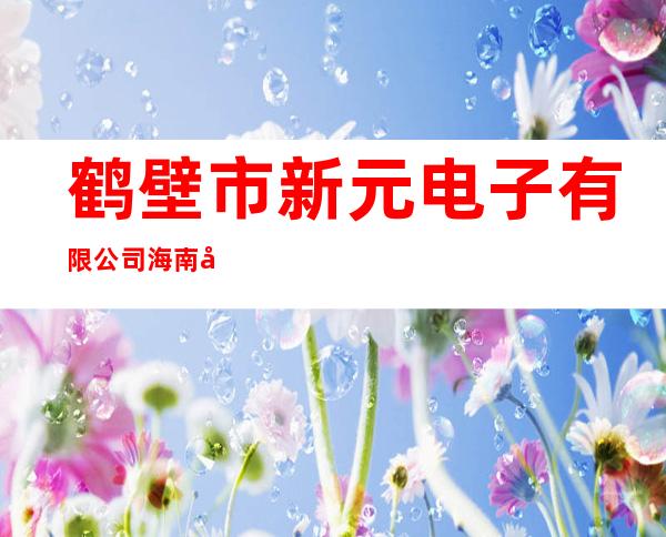 鹤壁市新元电子有限公司海南分公司