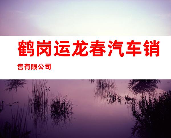 鹤岗运龙春汽车销售有限公司