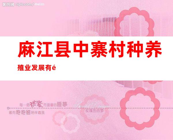 麻江县中寨村种养殖业发展有限公司