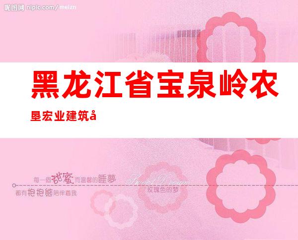 黑龙江省宝泉岭农垦宏业建筑劳务有限责任公司