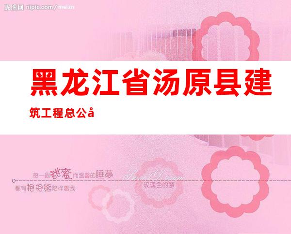 黑龙江省汤原县建筑工程总公司市政建设工程处