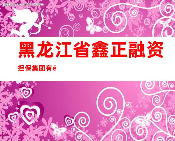 黑龙江省鑫正融资担保集团有限公司牡丹江分公司