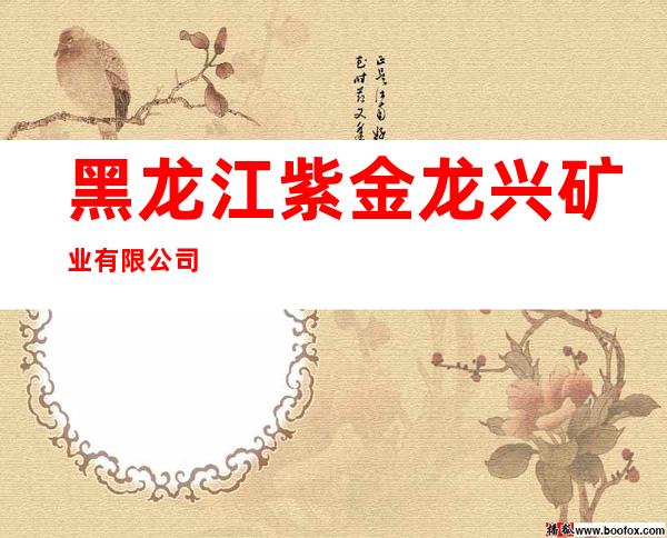 黑龙江紫金龙兴矿业有限公司