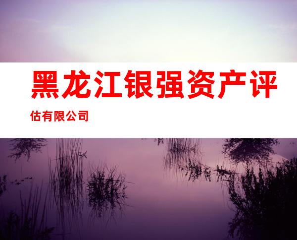 黑龙江银强资产评估有限公司