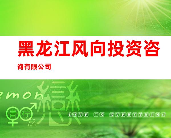 黑龙江风向投资咨询有限公司