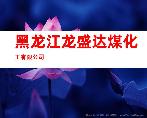 黑龙江龙盛达煤化工有限公司