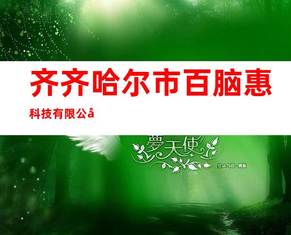 齐齐哈尔市百脑惠科技有限公司