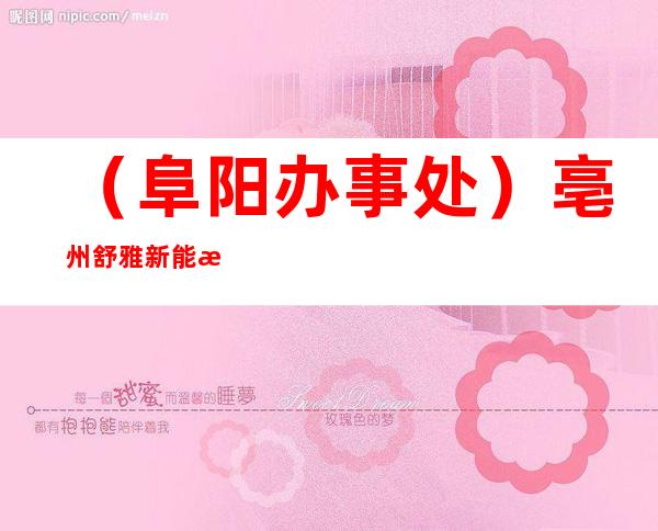 （阜阳办事处）亳州舒雅新能源科技有限公司